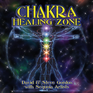 Chakra Healing Zone / Various
